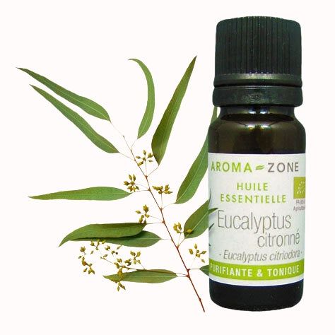AROMA ZONE  EUCALYPTUS ESSENTIAL OIL 10 ML