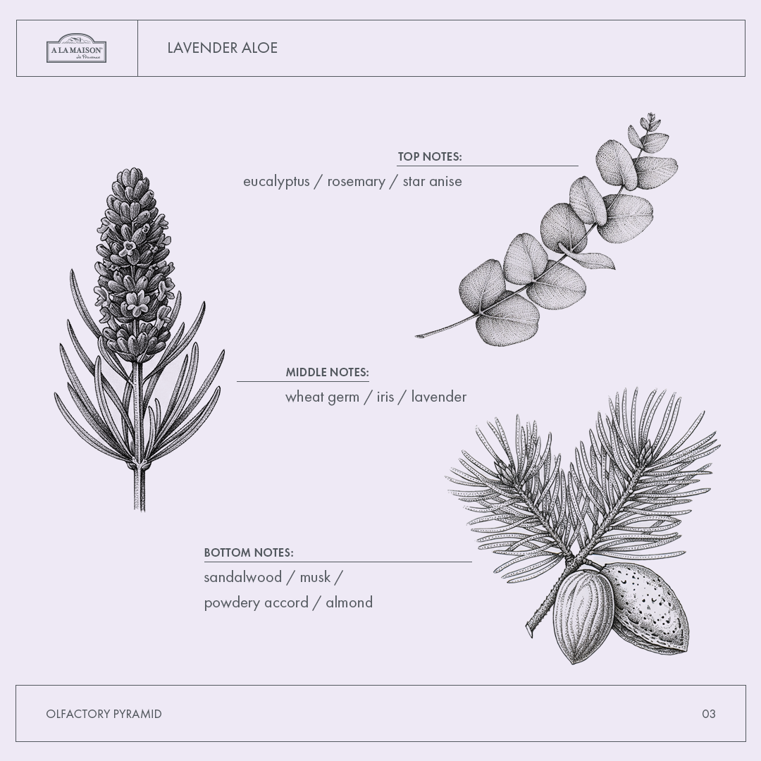 A La Maison Lavender Aloe Deodorant 70 g