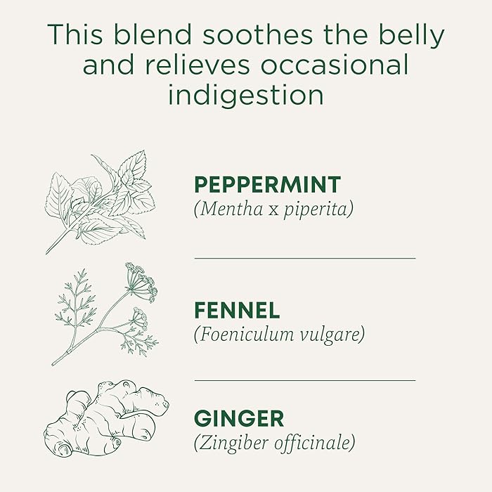 Traditional Medicinals Organic Belly Comfort Peppermint 28G