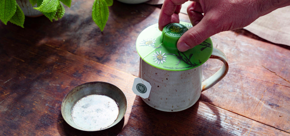 Traditional Medicinals Yellow Pau d'Arco 24g