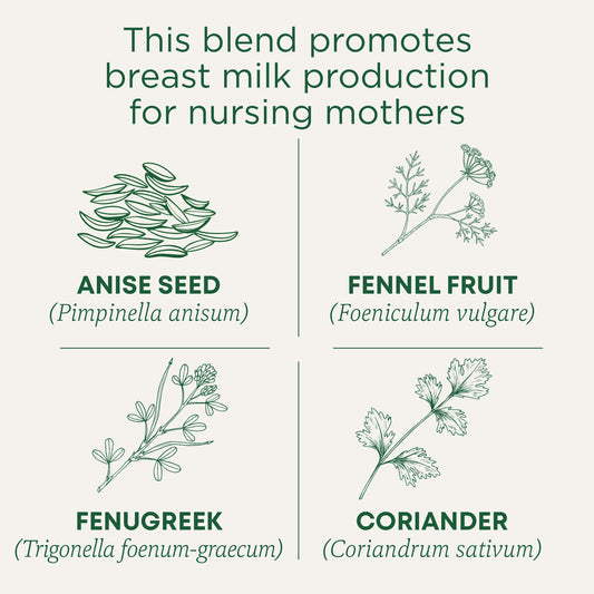 Traditional Medicinals Organic Mother's Milk Original with Fennel & Fenugreek 28G