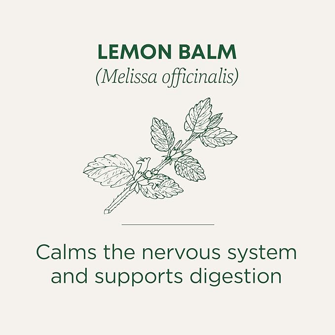 Traditional Medicinals Organic Lemon Balm 24G