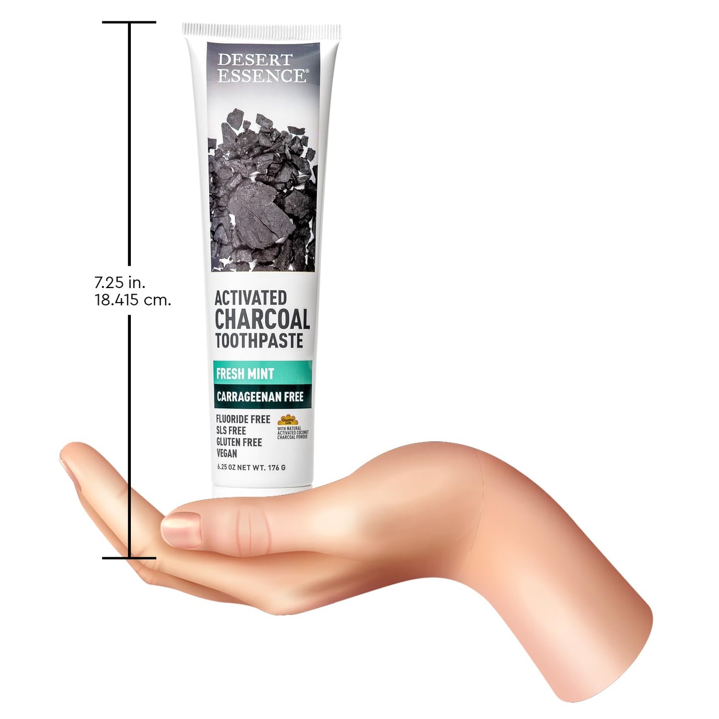 DESERT ESSENCE ACTIVATED CHARCOAL TOOTHPASTE - FRESH MINT 176G