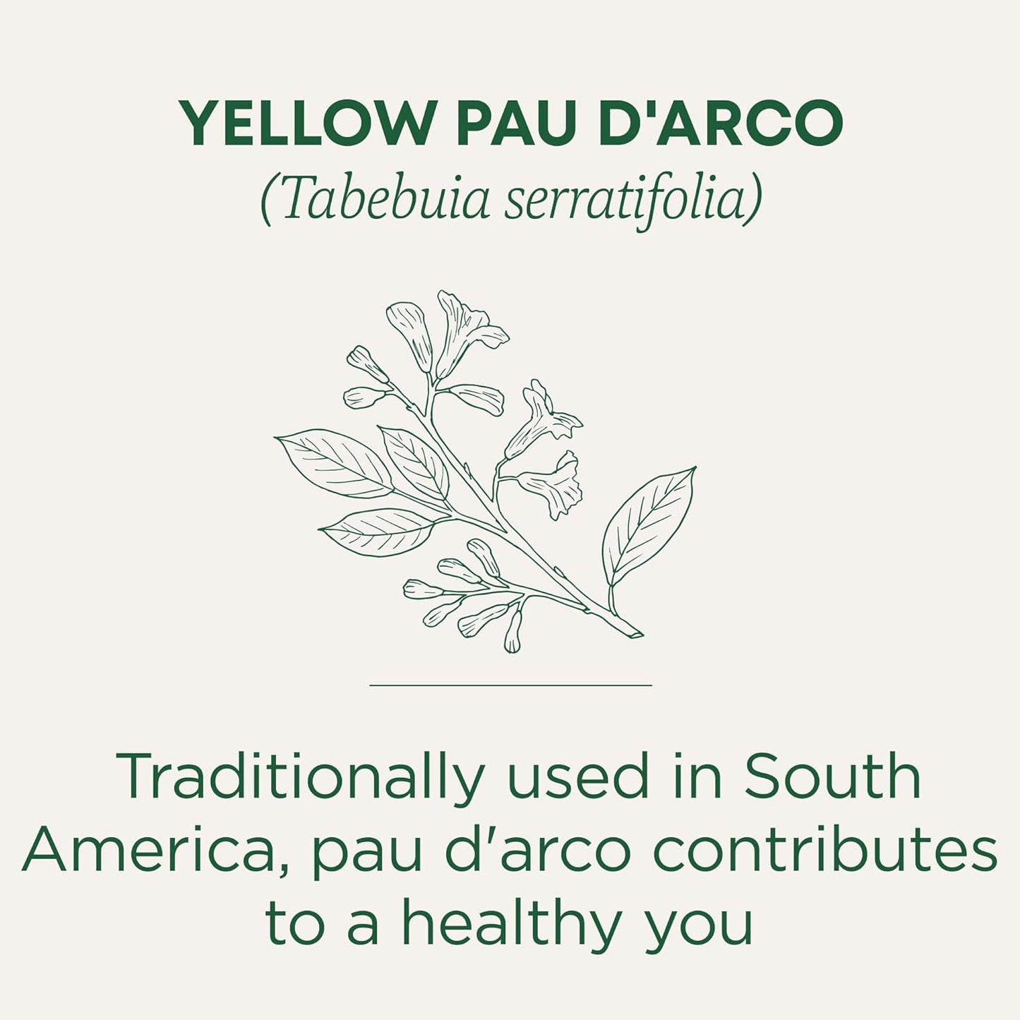 Traditional Medicinals Yellow Pau d'Arco 24g