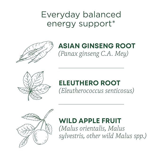 Traditional Medicinals Organic Stress Ease Focus 28g