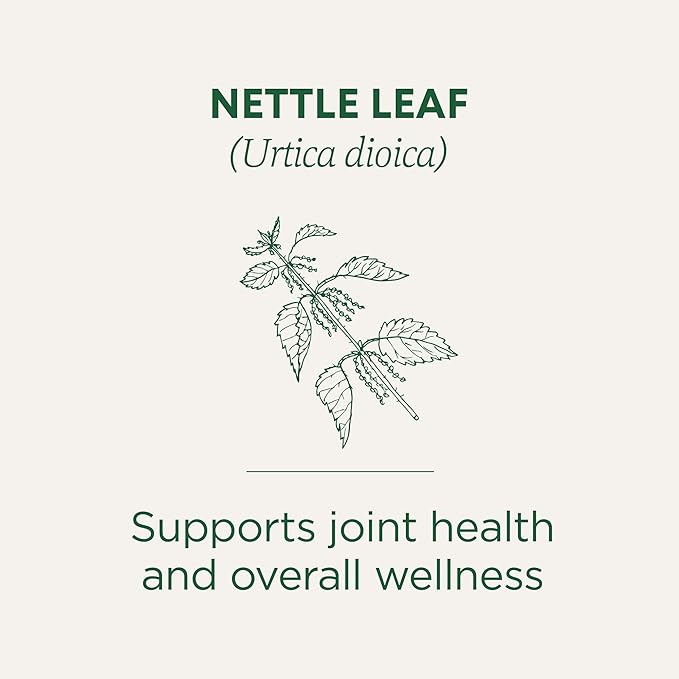 Traditional Medicinals Organic Nettle Leaf 32G
