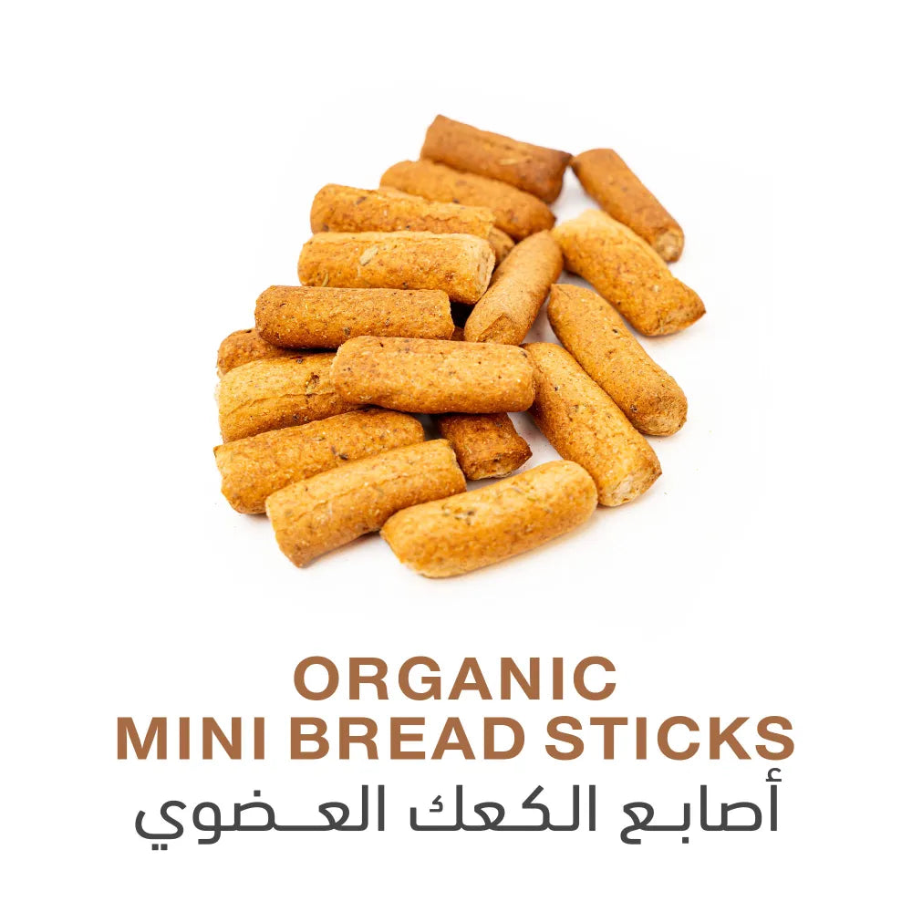 Holistic Corner Organic Mini Bread Sticks 100g