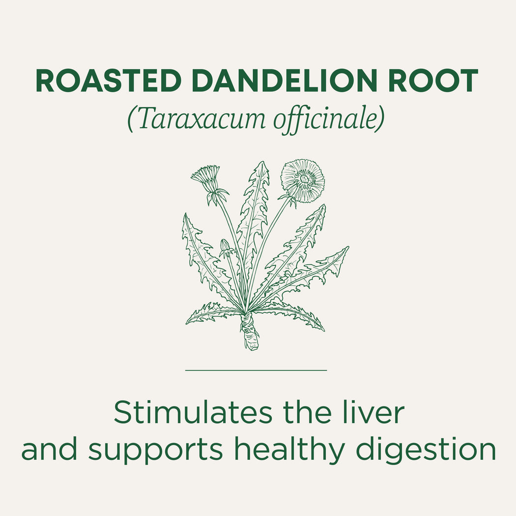 Traditional Medicinals Organic Dandelion Leaf & Root 24G