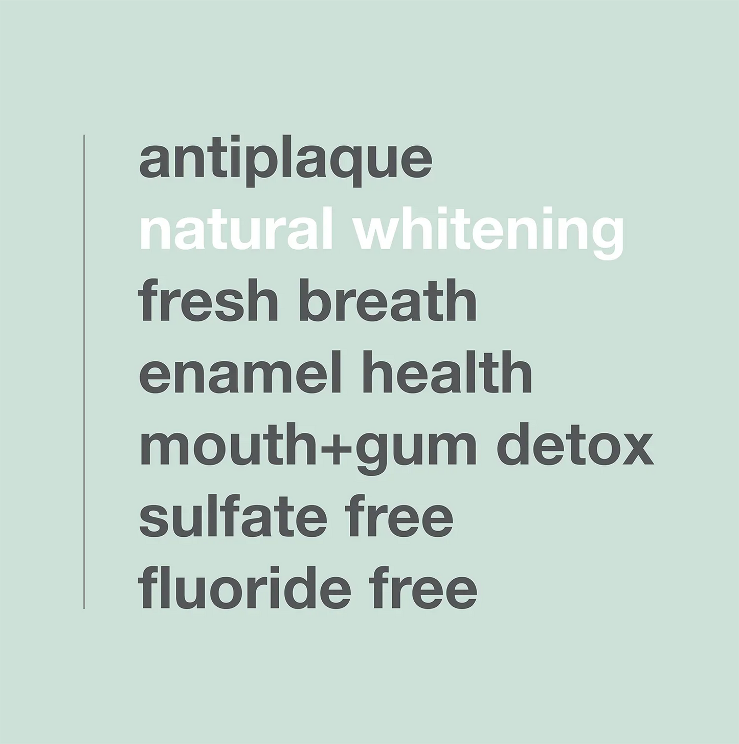 Davids Premium Whitening + Anti-plaque Toothpaste / Natural Mint + Charcoal 149g