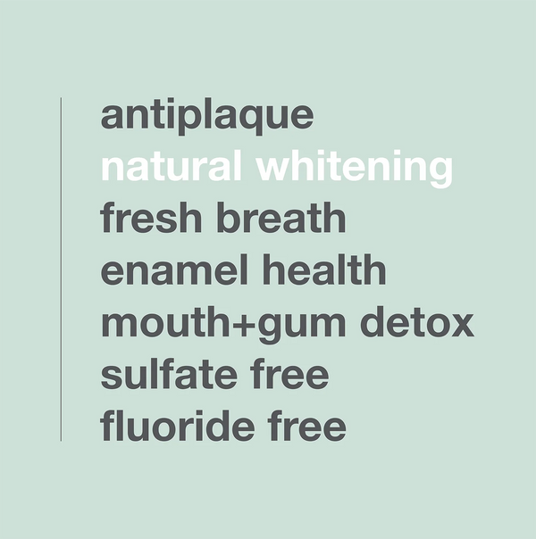 Davids Premium Whitening + Anti-plaque Toothpaste / Natural Mint + Charcoal 149g
