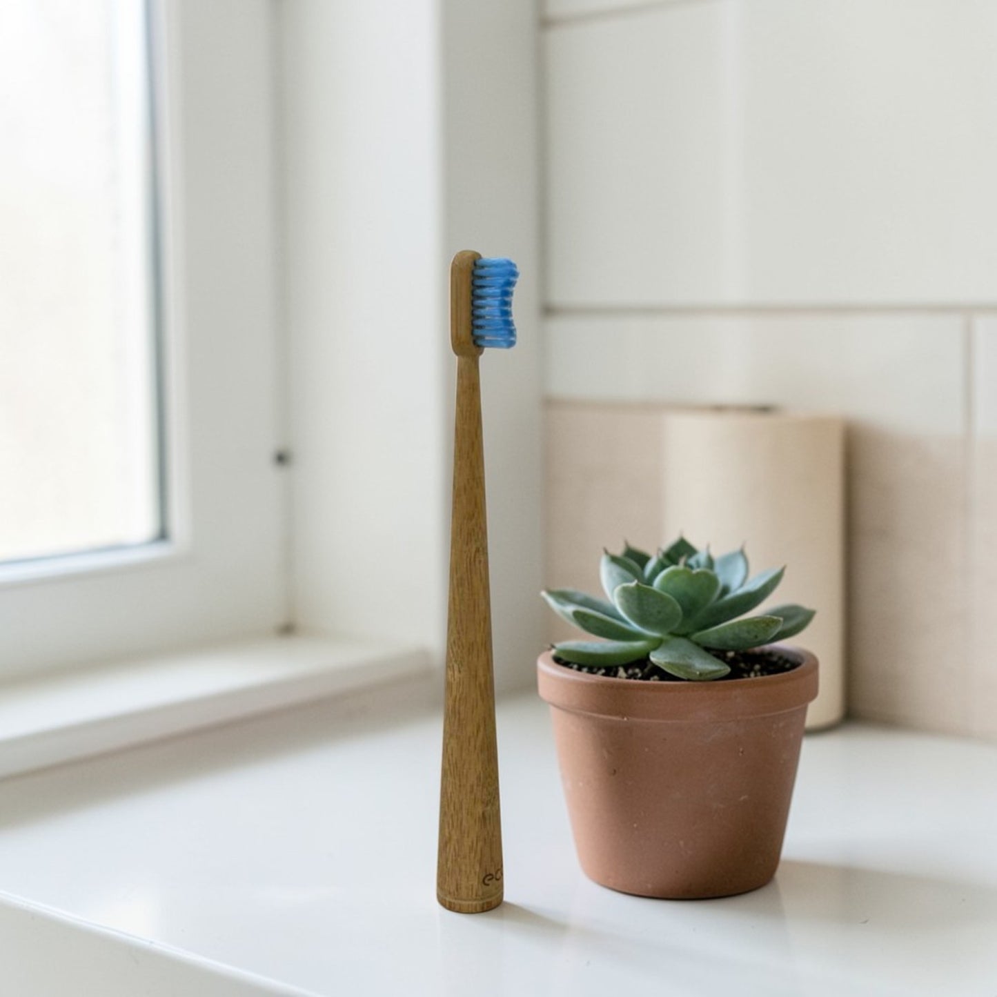 ECO2 - Biodegradable Bamboo Adult Toothbrush