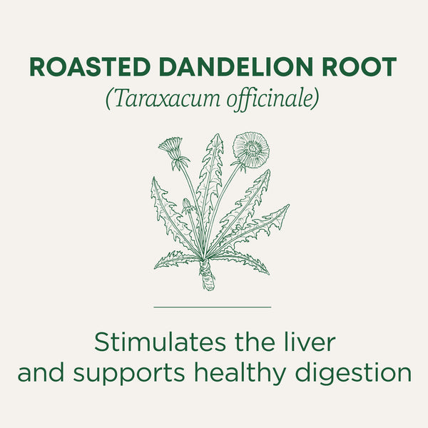 Traditional Medicinals Organic Roasted Dandelion Root 24G