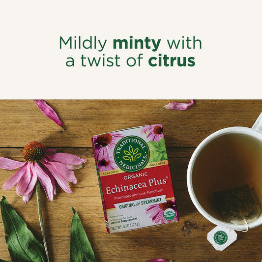 Traditional Medicinals Organic Echinacea Plus Original with Spearmint 24G