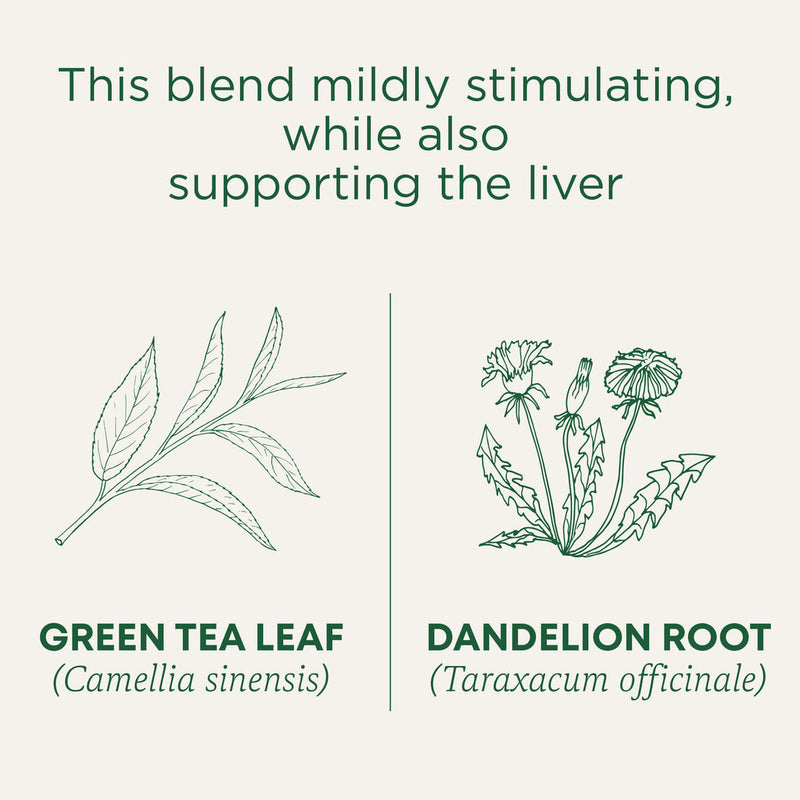 Traditional Medicinals Organic Green Tea Dandelion 32G