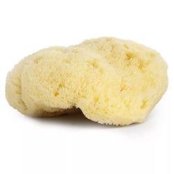 NAJEL NATURAL SPONGE 10CM