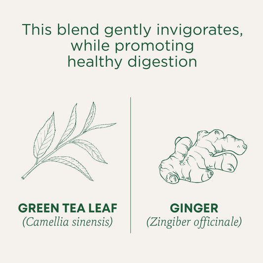 Traditional Medicinals Organic Green Tea Ginger 24G