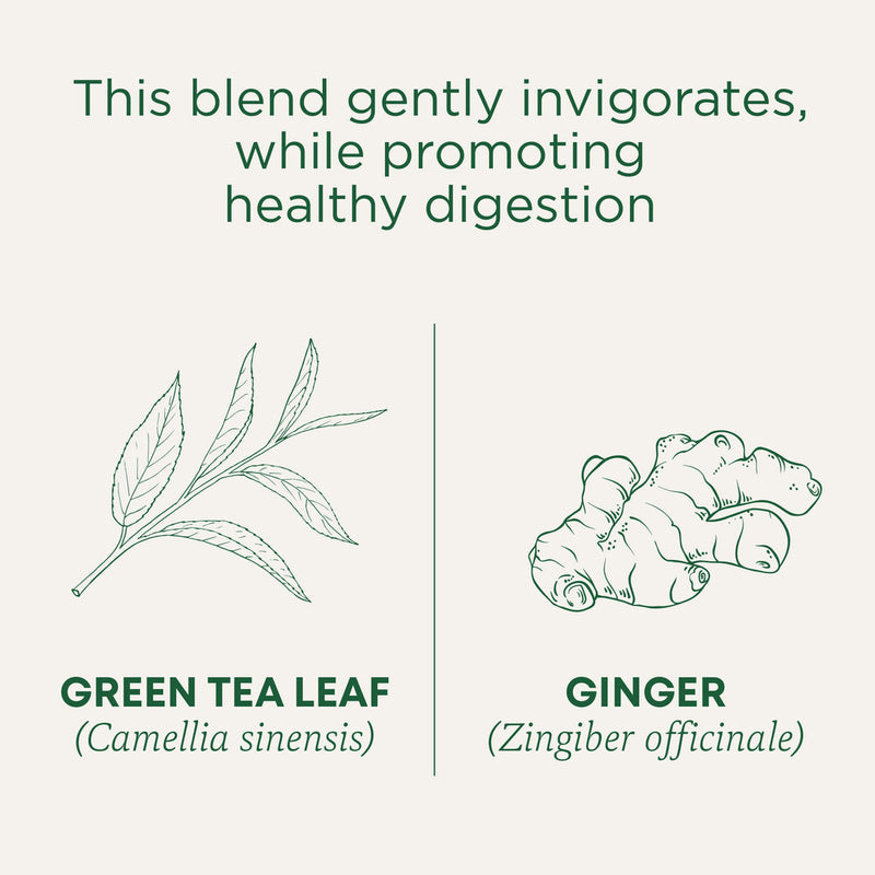 Traditional Medicinals Organic Green Tea Ginger 24G