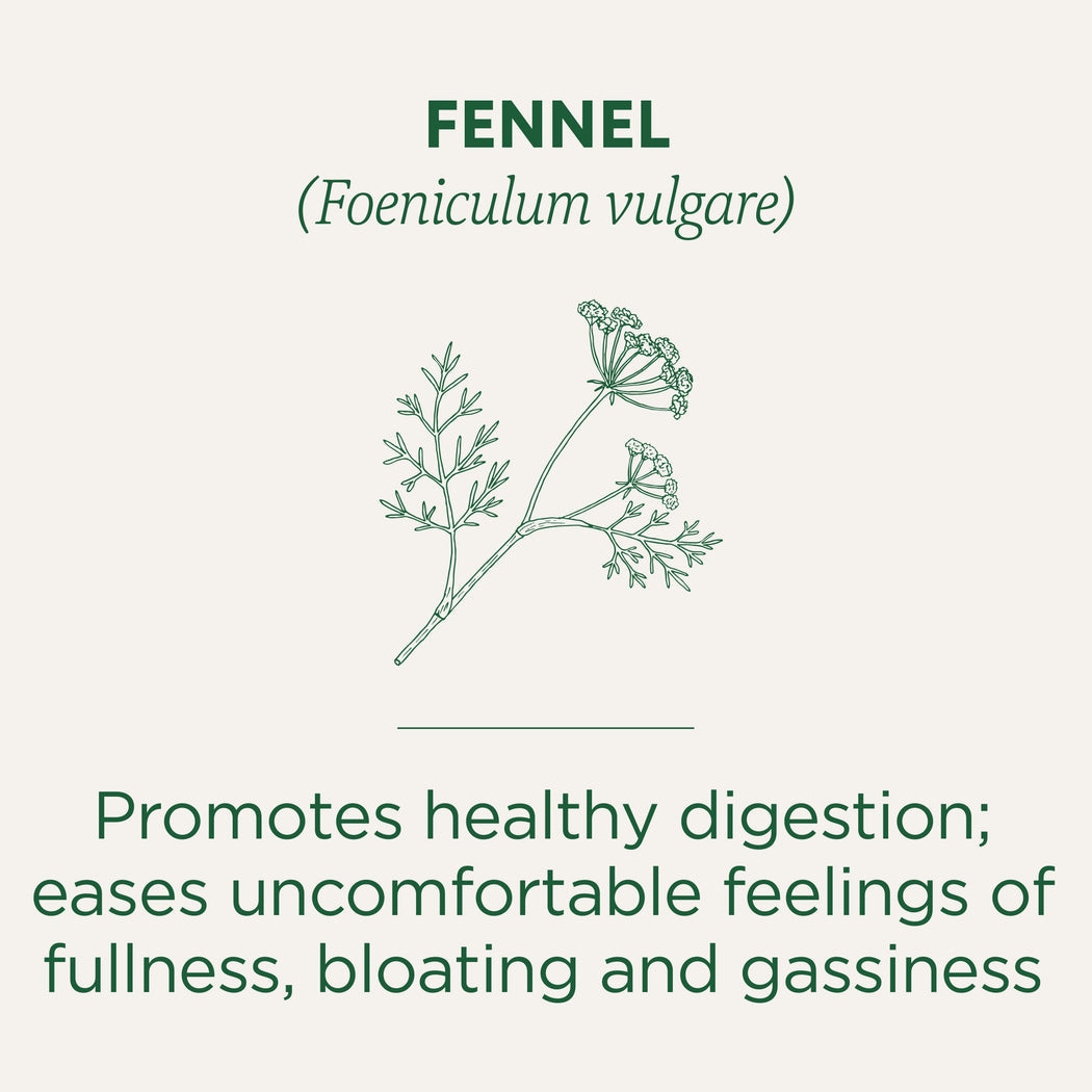 Traditional Medicinals Organic Fennel 32G