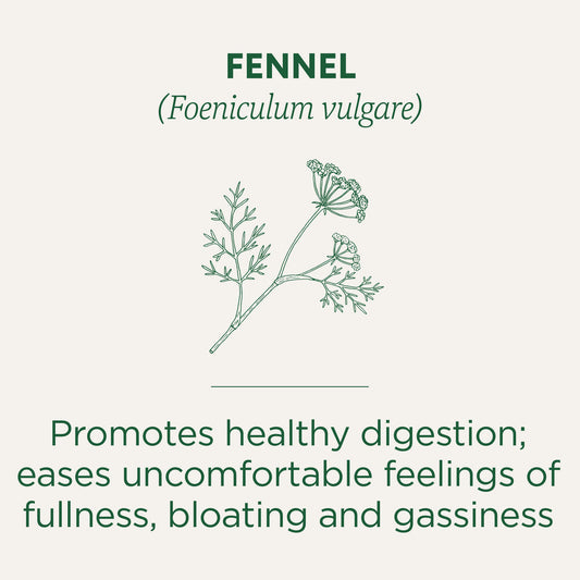 Traditional Medicinals Organic Fennel 32G