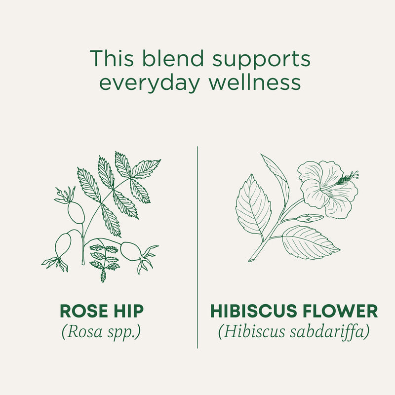 Traditional Medicinals Organic Rose Hips with Hibiscus 32G