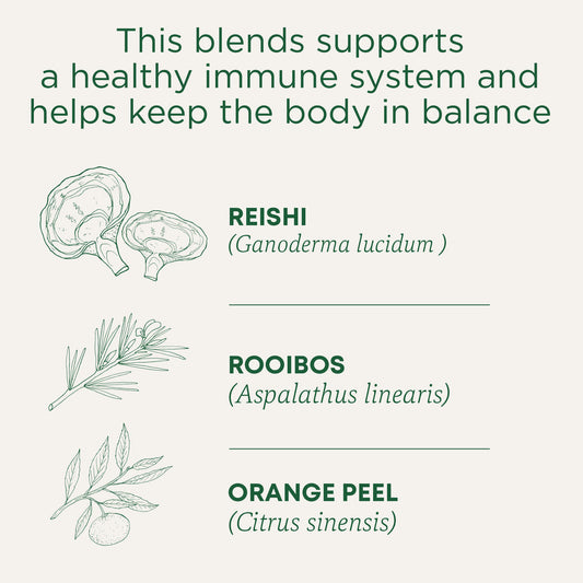 Traditional Medicinals Organic Reishi Mushroom with Rooibos & Orange Peel 24G