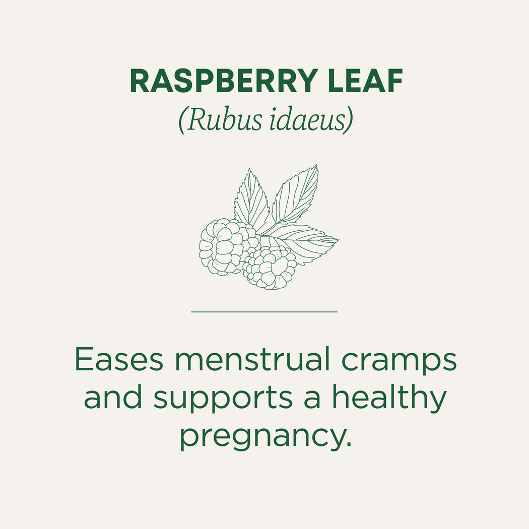 Traditional Medicinals Organic Raspberry Leaf 24G