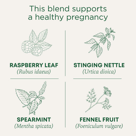 Traditional Medicinals Organic Pregnancy Tea Raspberry Leaf 28G
